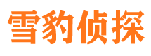 东川商务调查